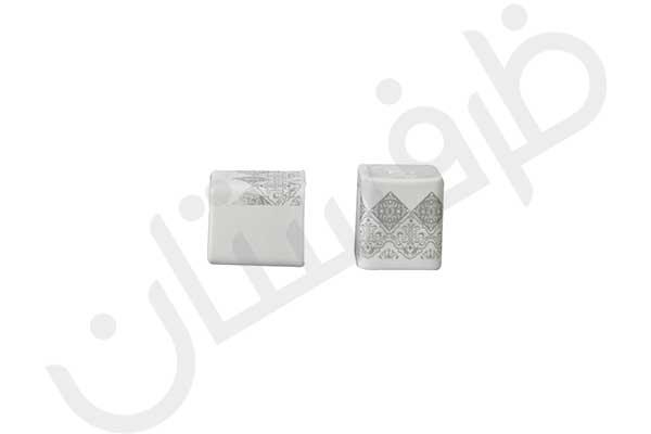 نمکپاش مهرسا طوسی